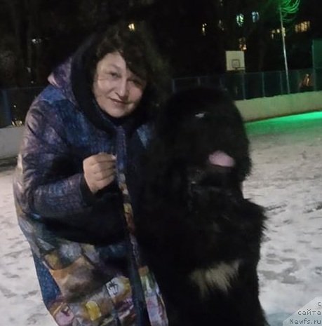 Фото: [p919]и Даанич Вольный Ветер  (домашняя кличка-Атос).