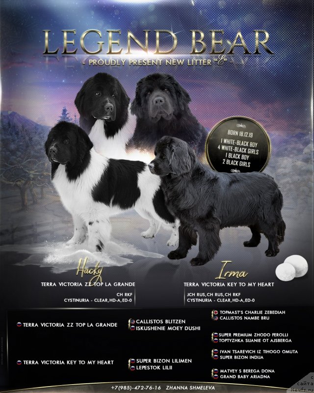 Фотография № 245960