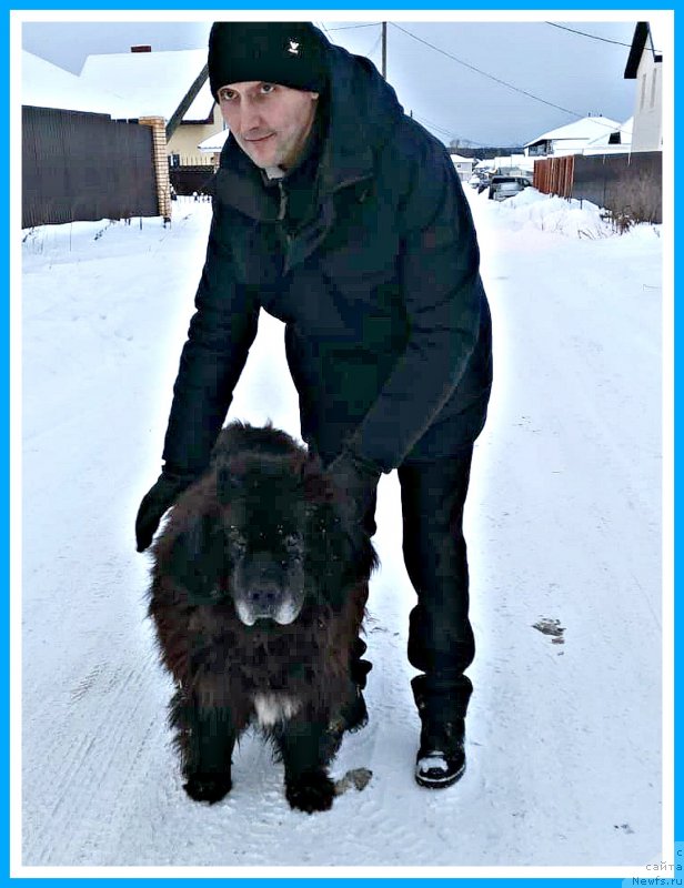 Фото: Миша(Жорик-Лютик)