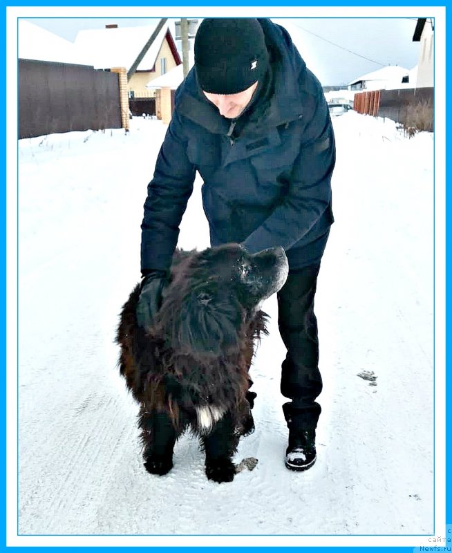 Фото: Миша(Жорик-Лютик)