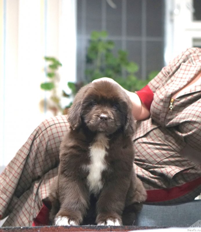 Фото: АК Фэшн Герл