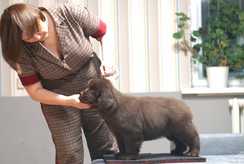 Фото: АК Формаджи