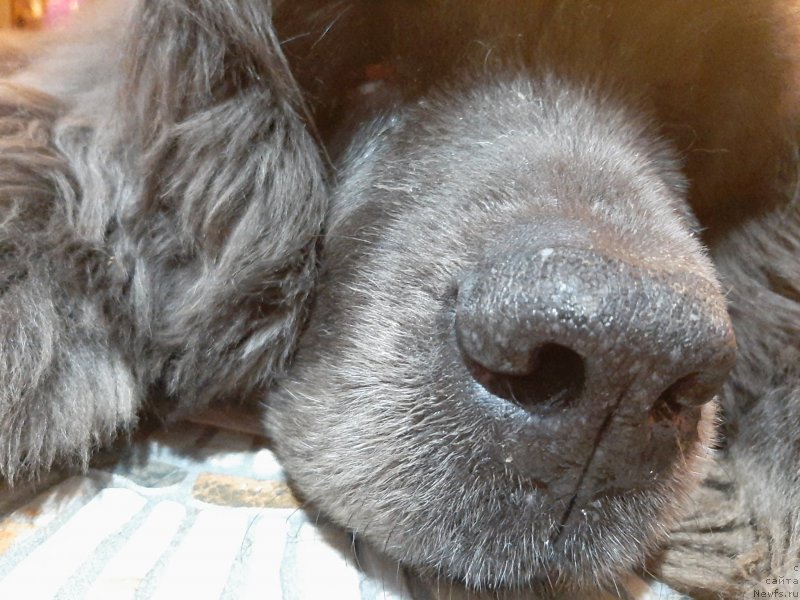 Фотография № 245971