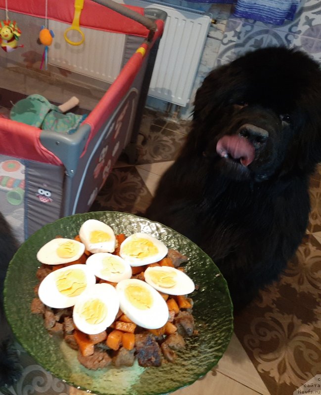 Фотография № 245974