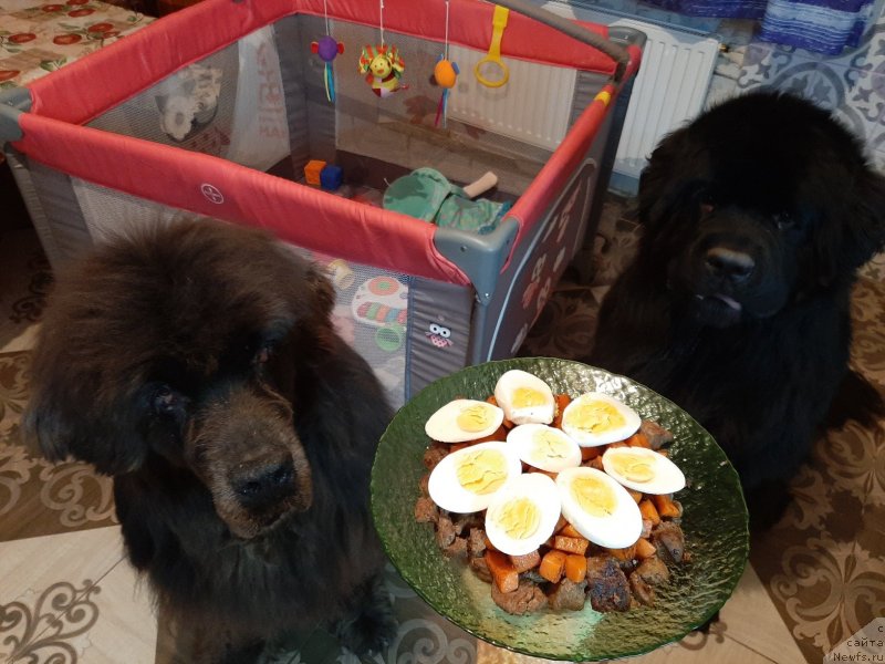 Фотография № 245975