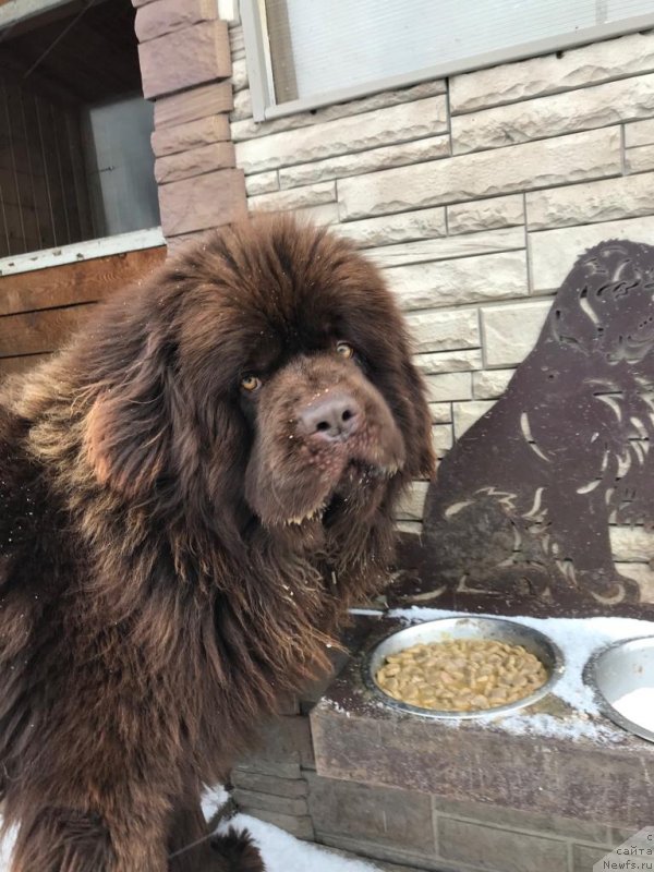 Фотография № 245986