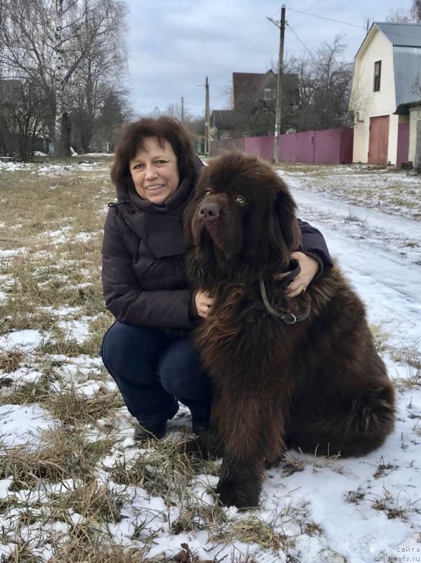 Фотография № 245987