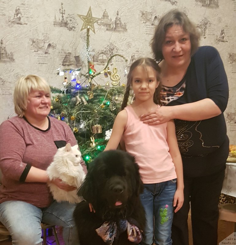 Фото: ньюфаундленд Даанич Веселый Роджер, Лариса Скакун, Лилиана Рахматова