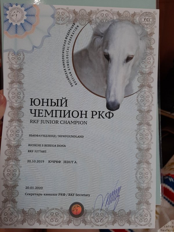 Фотография № 246002