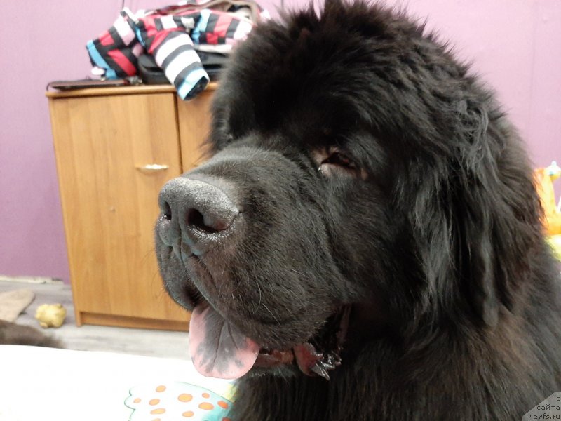 Фотография № 246003