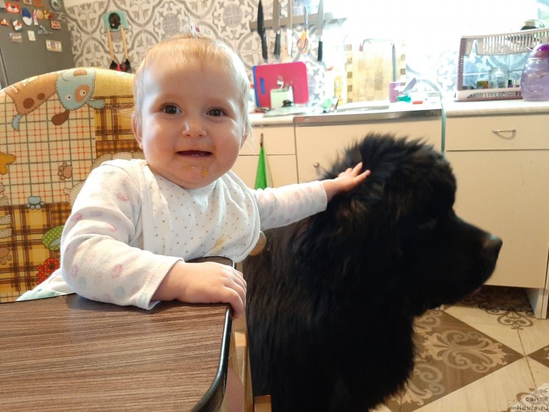 Фотография № 246007