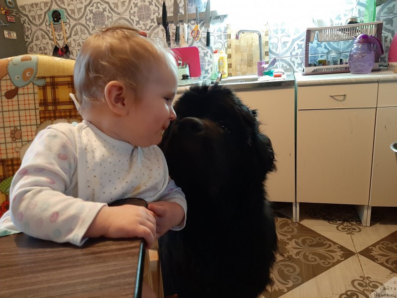 Фотография № 246008