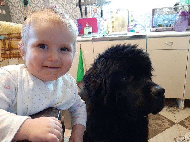 Фотография № 246009