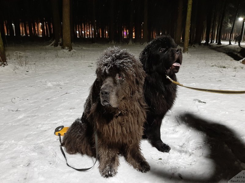 Фотография № 246011