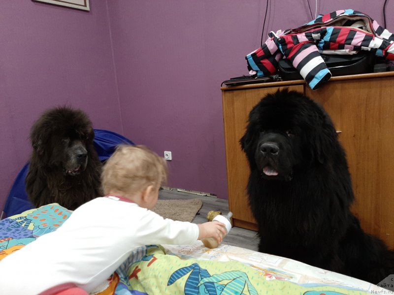 Фотография № 246012