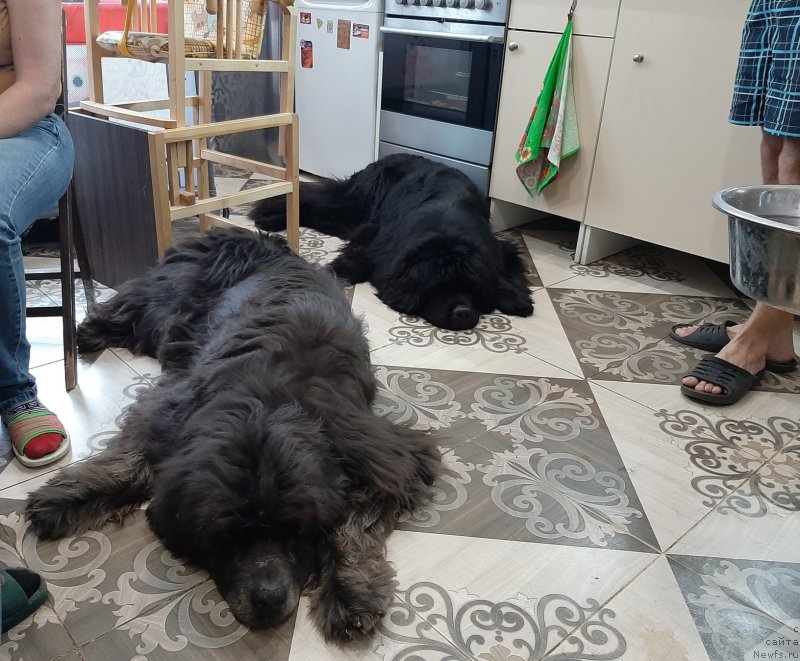 Фотография № 246013