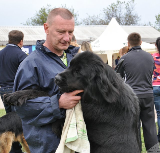 Фото: Роман Гордиенко