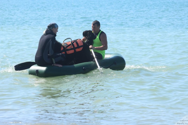 Фотография № 246087