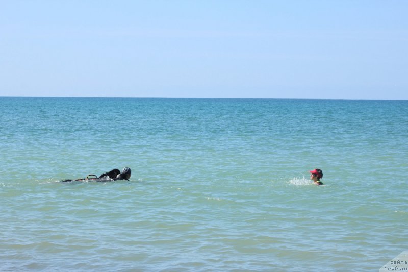 Фотография № 246089