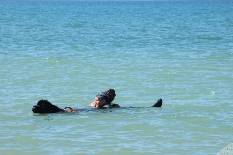 Фотография № 246090