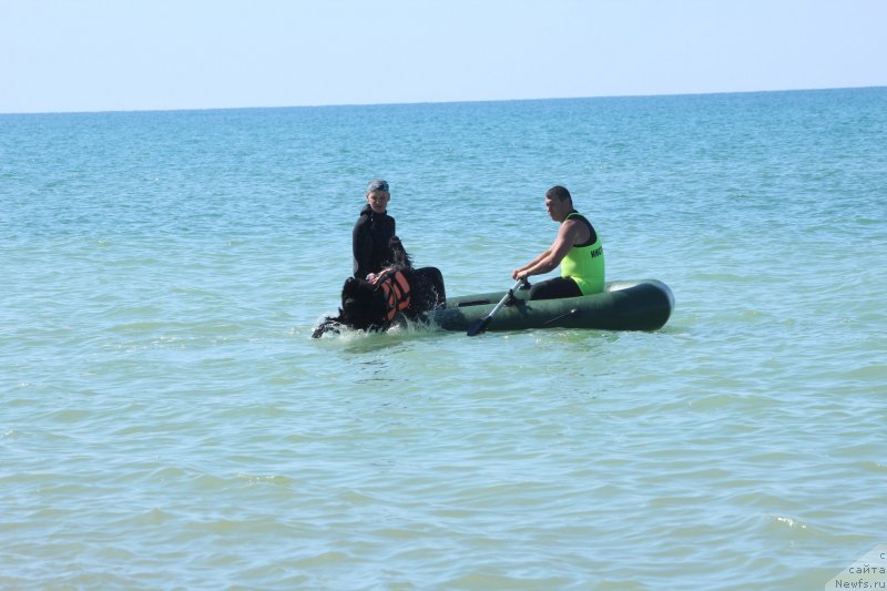 Фотография № 246091