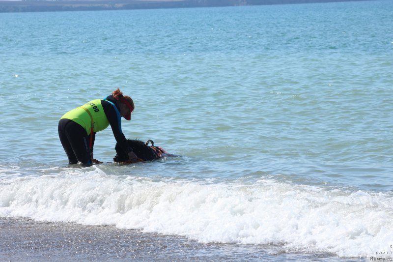 Фотография № 246092