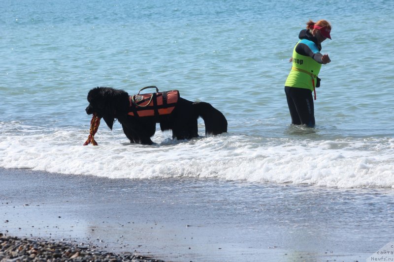 Фотография № 246093