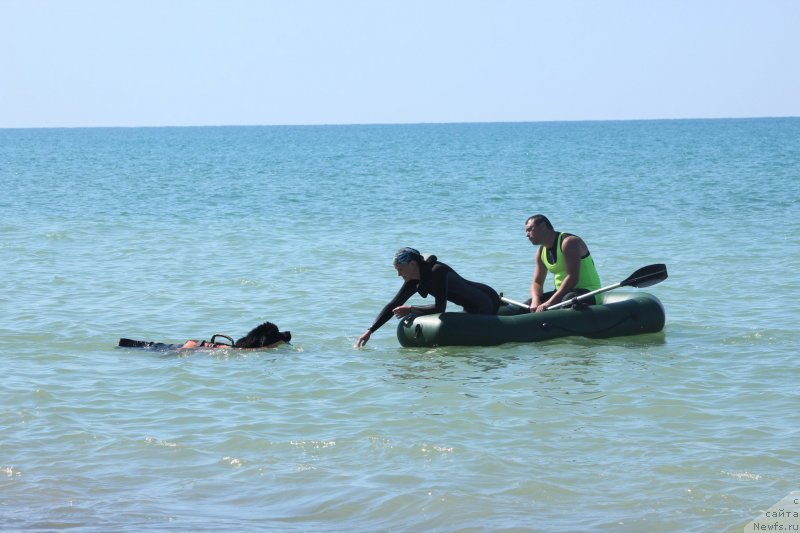 Фотография № 246094