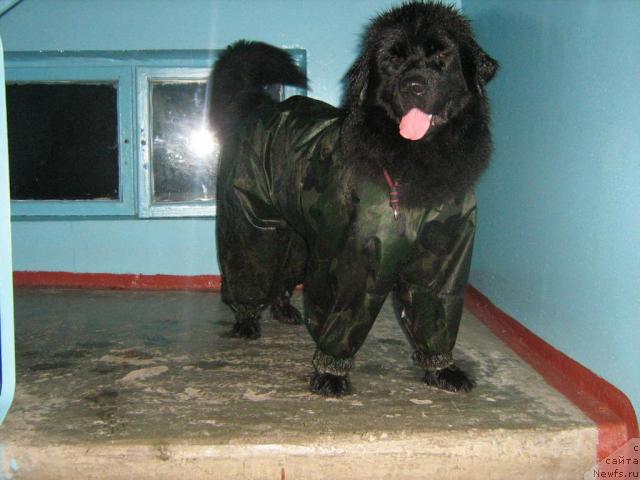 Фотография № 24610