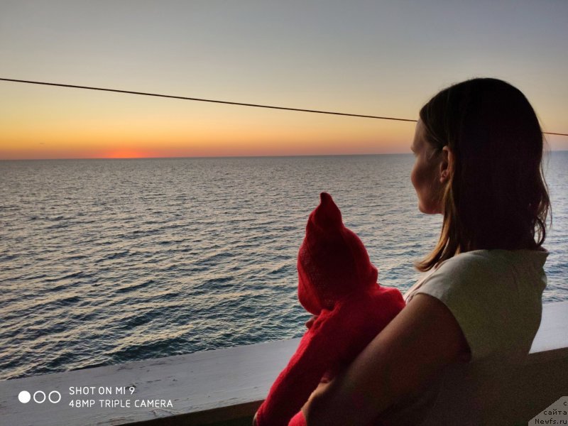 Фотография № 246100