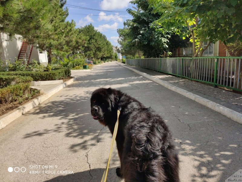 Фотография № 246103