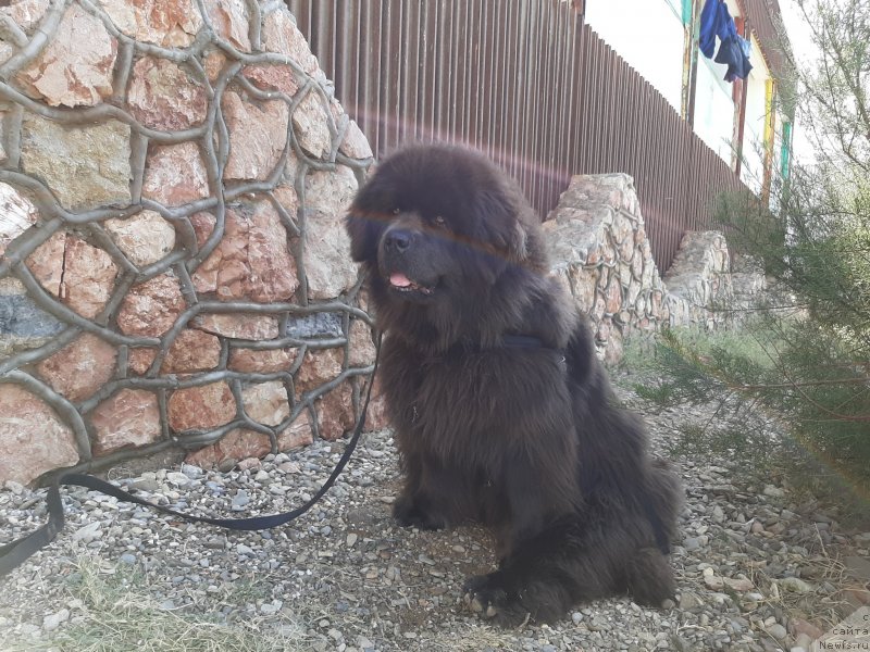 Фотография № 246104