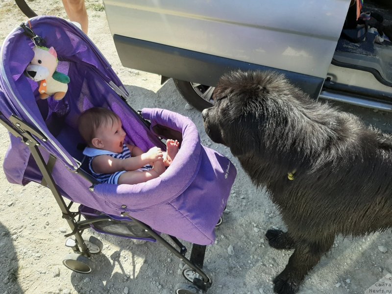 Фотография № 246105