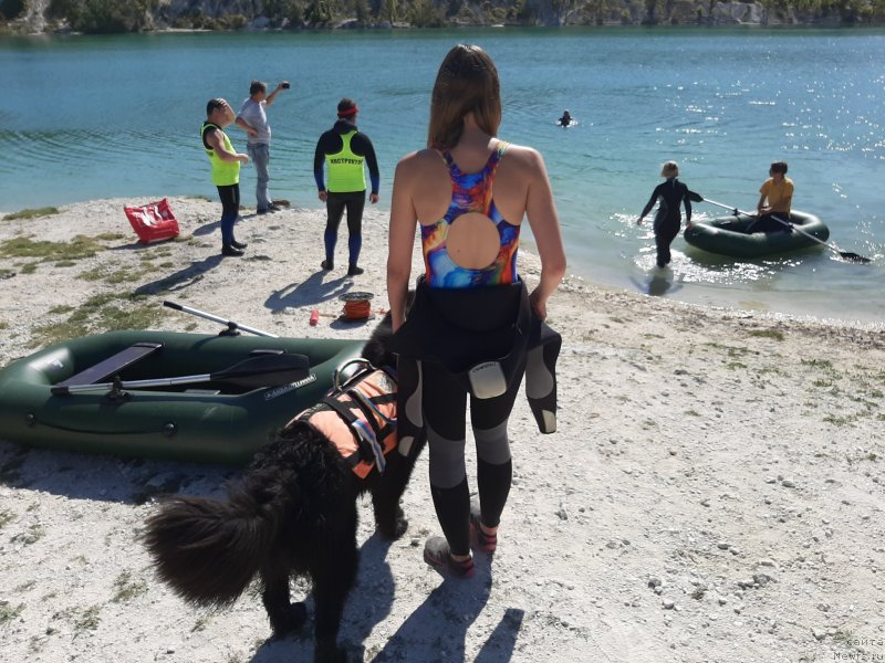 Фотография № 246106