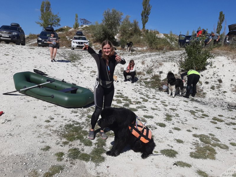 Фотография № 246107