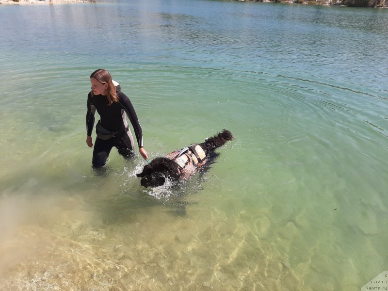 Фотография № 246109