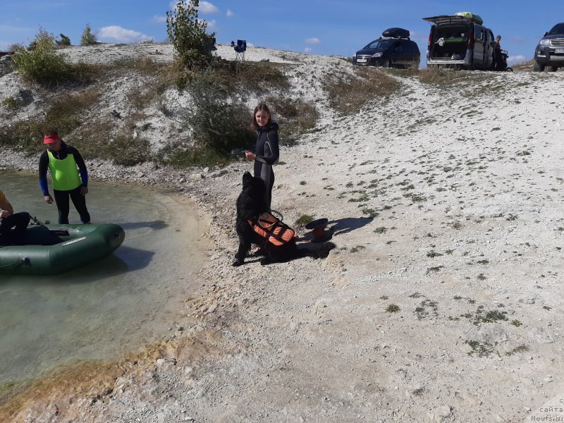 Фотография № 246112