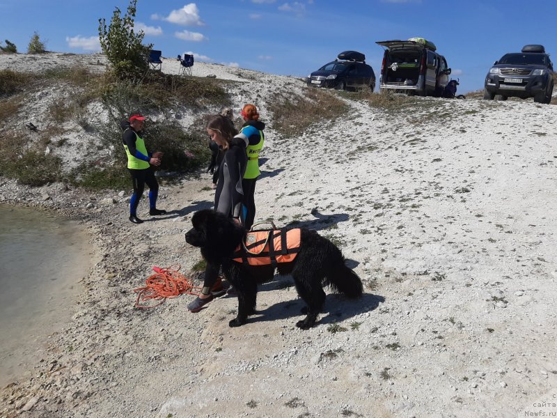 Фотография № 246113