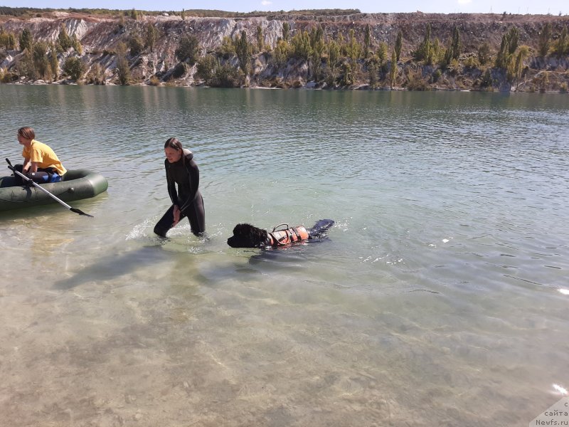 Фотография № 246114