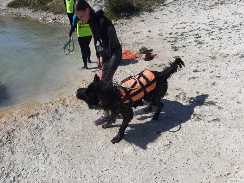 Фотография № 246119