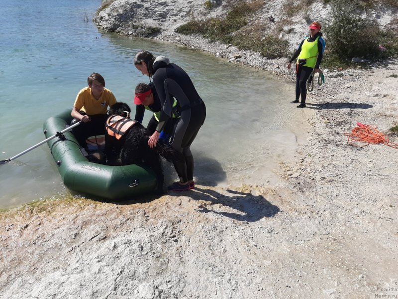 Фотография № 246120