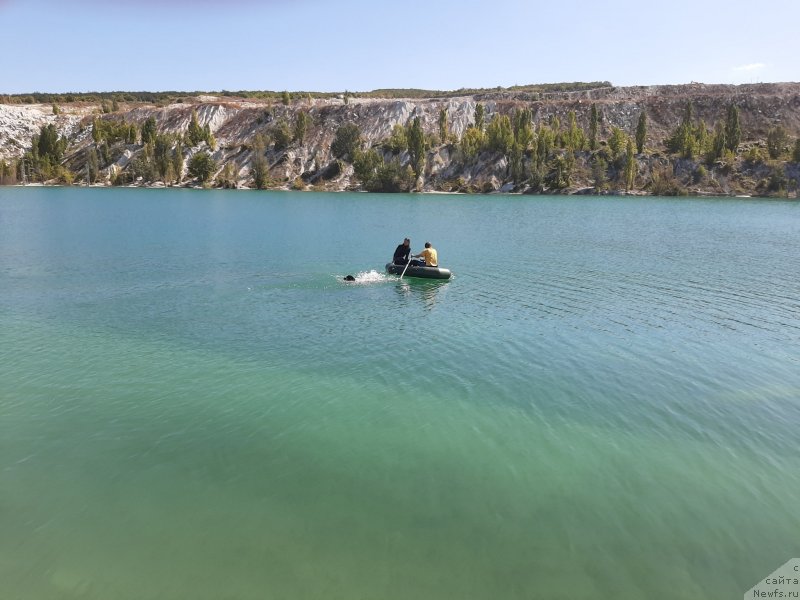 Фотография № 246122