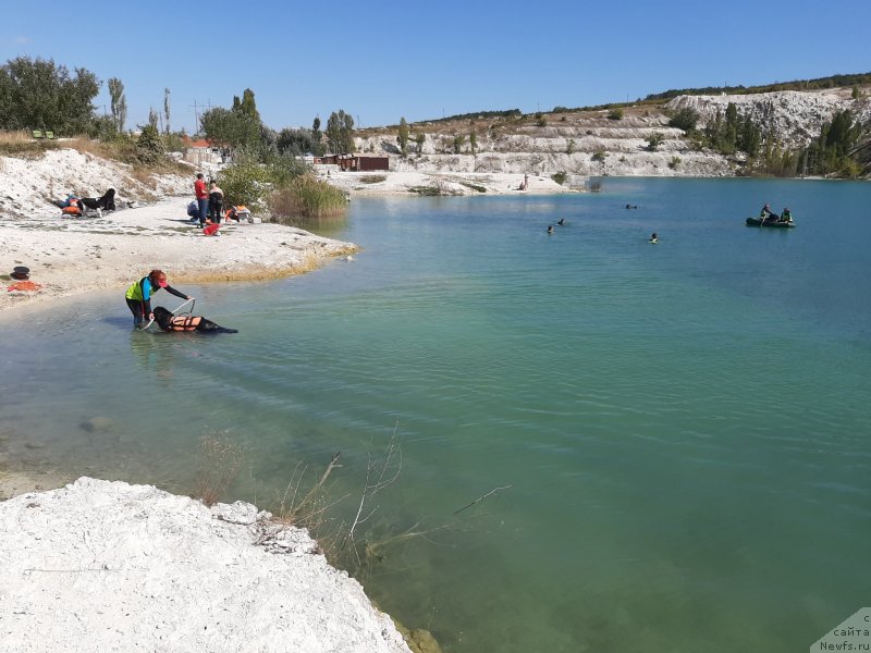 Фотография № 246123