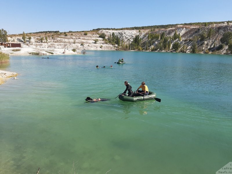 Фотография № 246125