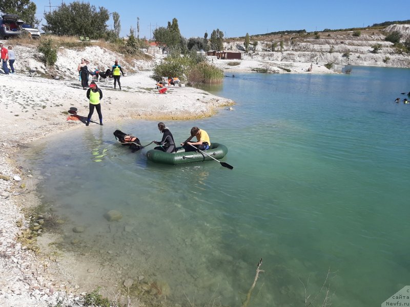 Фотография № 246126