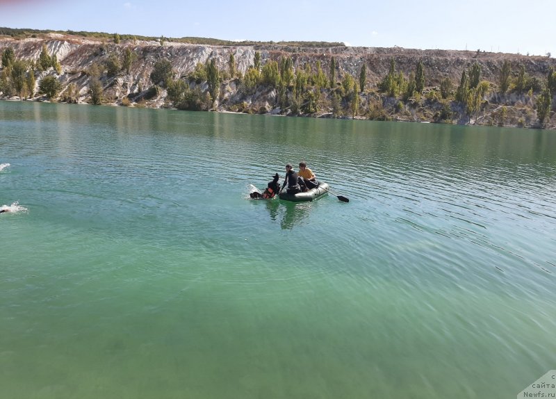 Фотография № 246128