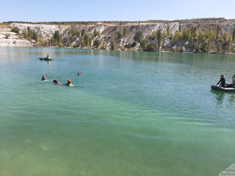Фото: ньюфаундленд Риччи с Берега Дона (Richchi s Berega Dona)