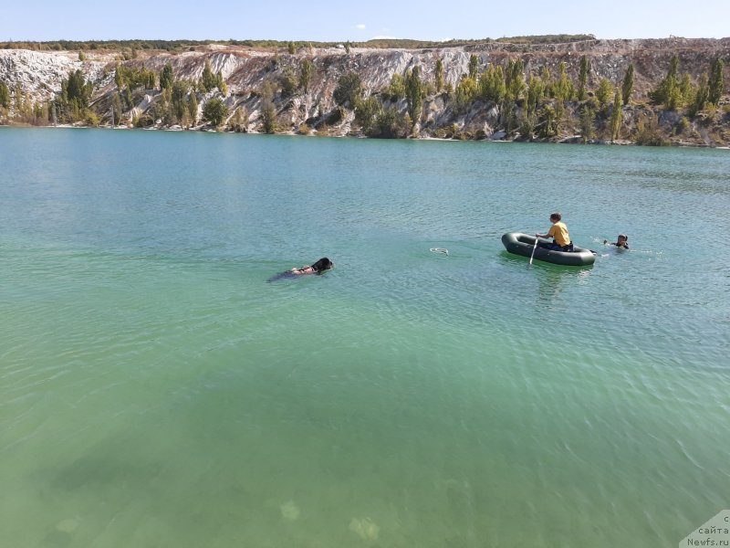 Фотография № 246133