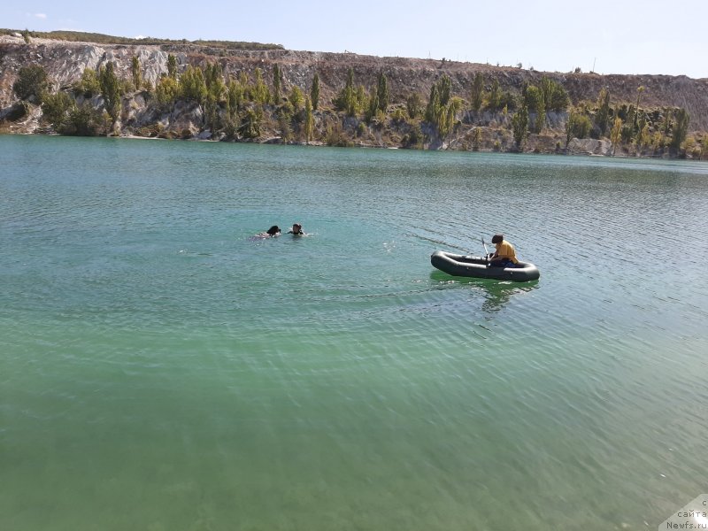 Фотография № 246135