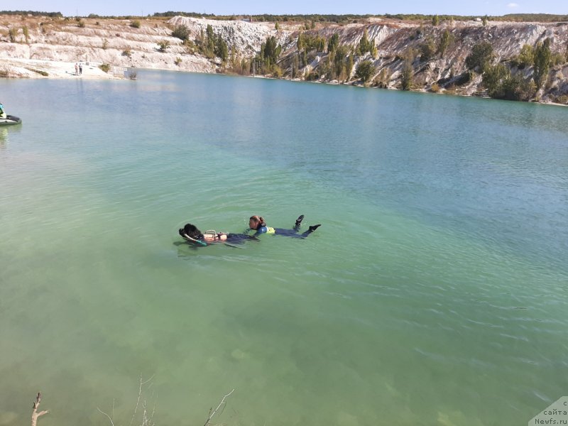 Фотография № 246136